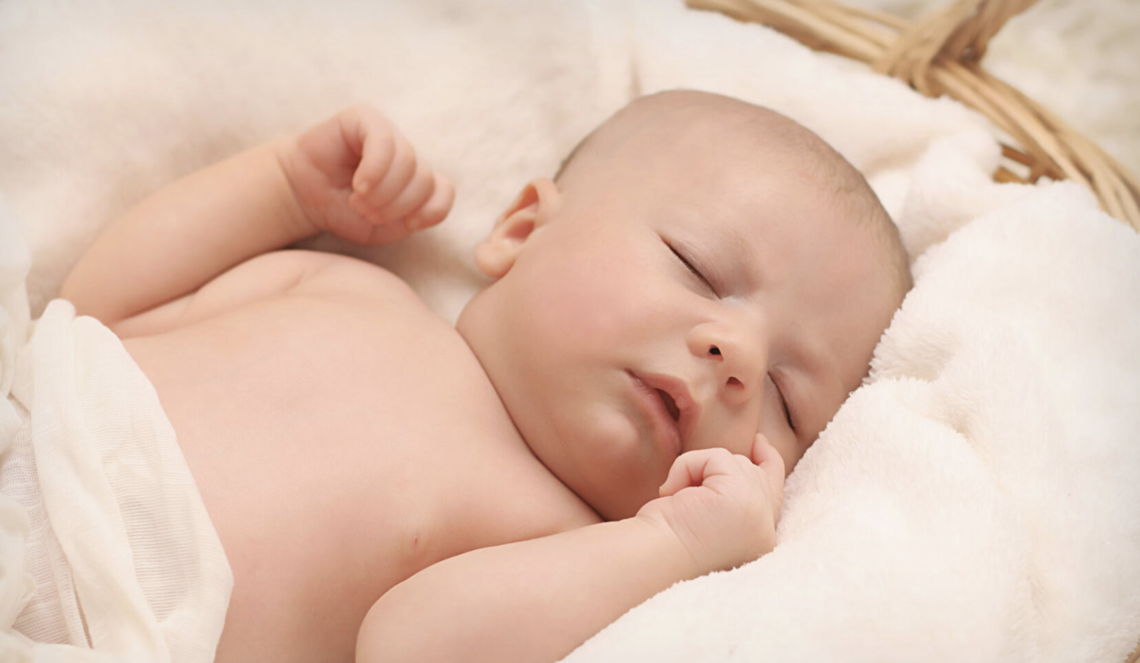 Screenshot 2024-03-30 at 8.26.55 AM